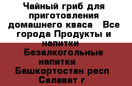 Чайный гриб для приготовления домашнего кваса - Все города Продукты и напитки » Безалкогольные напитки   . Башкортостан респ.,Салават г.